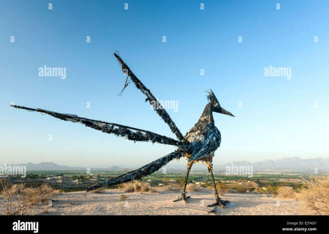 Arizona State Bird : The Majestic Roadrunner